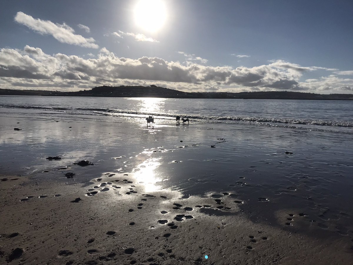 JuliaGroves23's tweet photo. @davesumnersmith View from #crowpoint enjoying a group dog walk. https://t.co/JkwmgdOisG