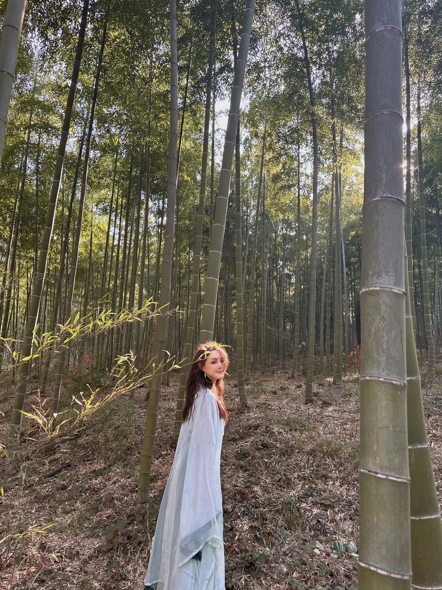 Cryptosis9_OKX's tweet photo. 隐于竹海～～
深山挖冬笋⛰️【罚款2千】😹
今天负收益😹 https://t.co/CKuUcWN1yi