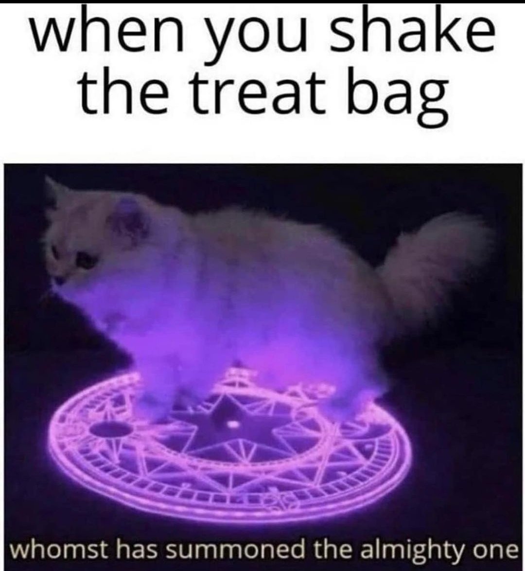 WholesomeMeme's tweet photo. https://t.co/WjL7b383qt