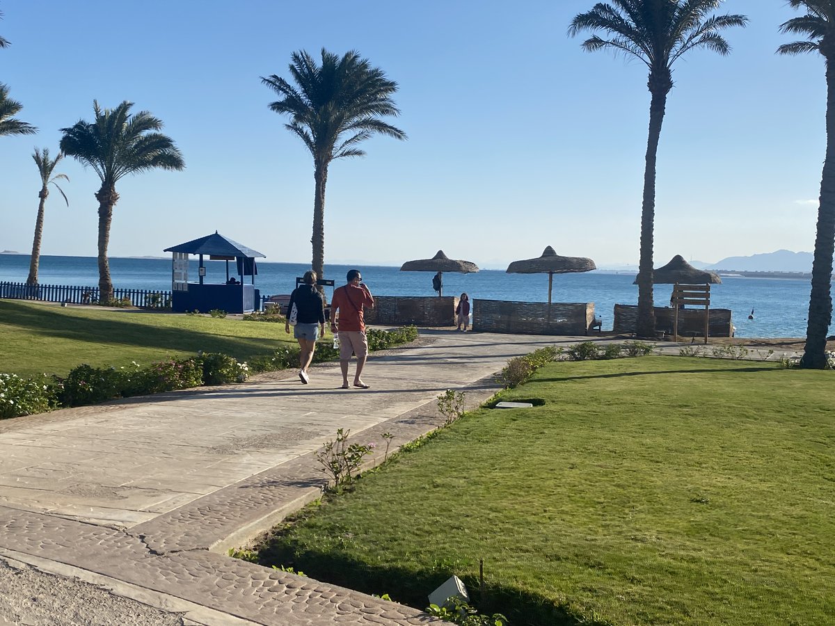 7daysabroad's tweet photo. Spending New Year's Eve in Hurghada, Egypt - Palm Royale resort review https://t.co/8n2ekz2eLF https://t.co/lGRta6R6OB