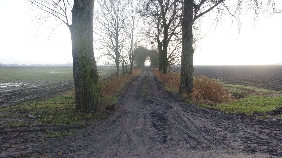 Pietsje Hannema Greidanus tweet media