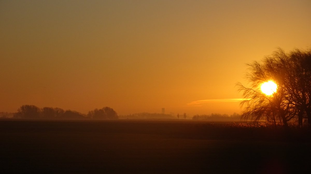 Pietsje Hannema Greidanus tweet media