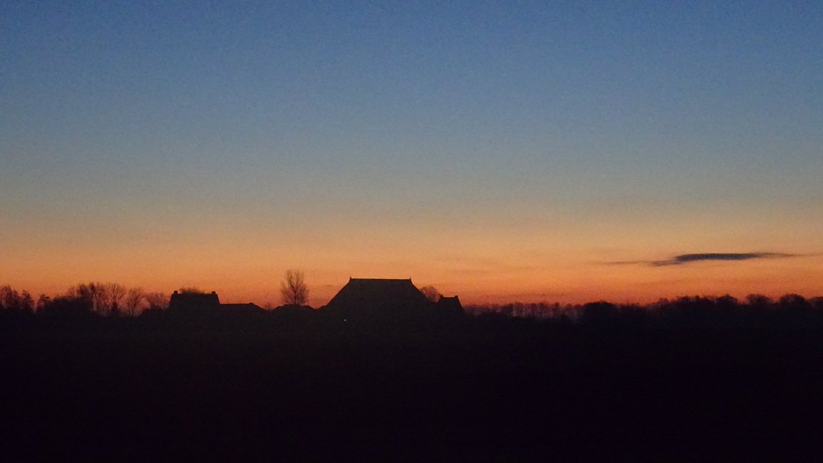 Pietsje Hannema Greidanus tweet media