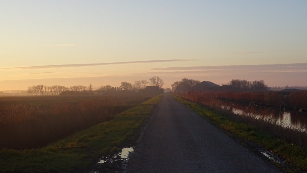 Pietsje Hannema Greidanus tweet media