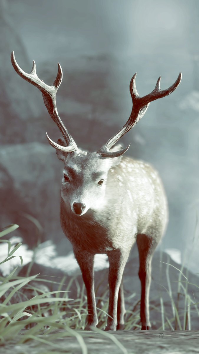 tulippooh3's tweet photo. #UDLRFauna
 #GhostOfTsushima 
 #TsushimaShowcase https://t.co/RbBjyB8U7p
