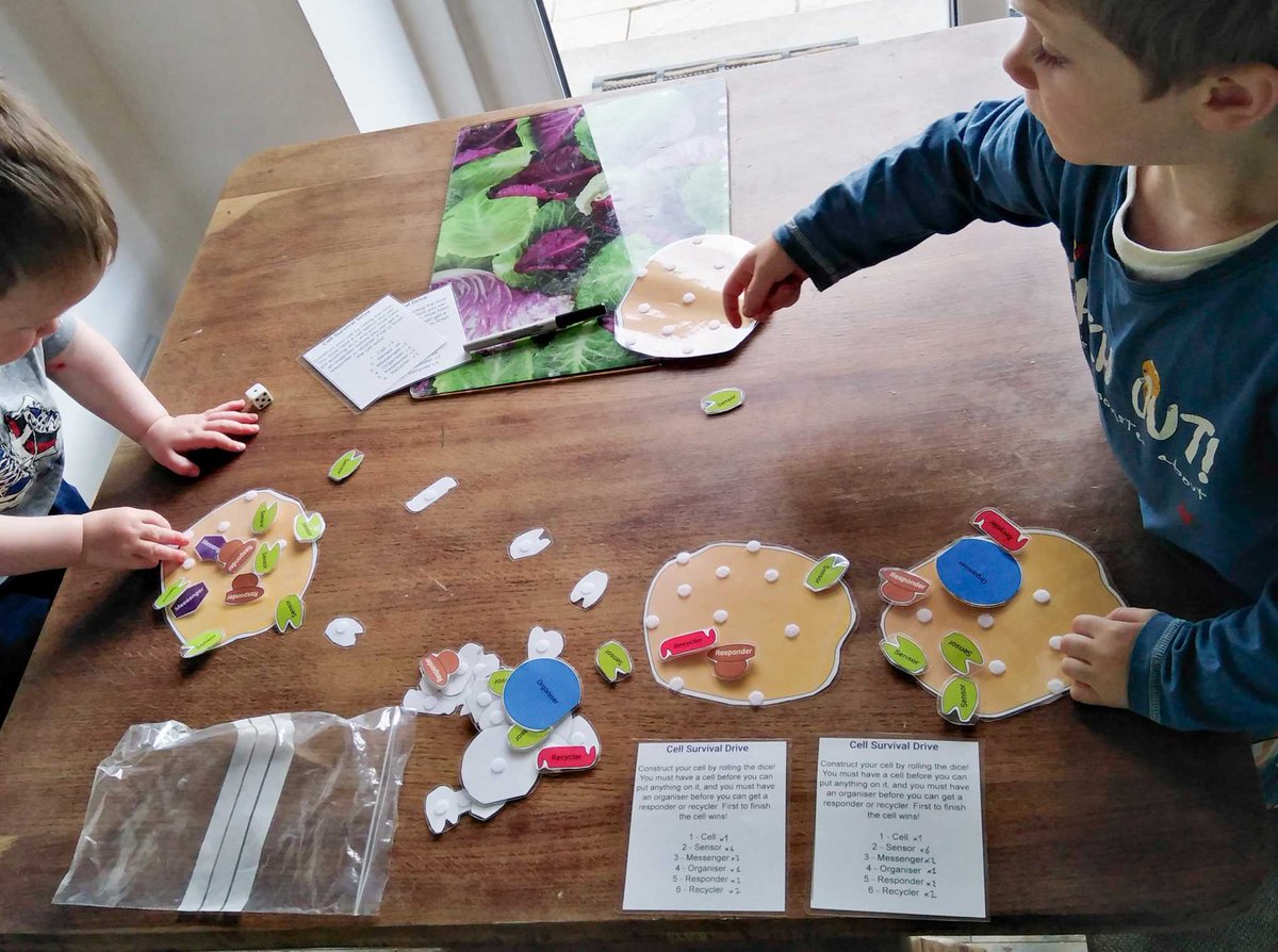 Get your free copy of our new #Biology #BoardGame #CellSurvival Drive here: dx.doi.org/10.20933/10000…! Build your cell by rolling the dice. What better way to start the weekend?