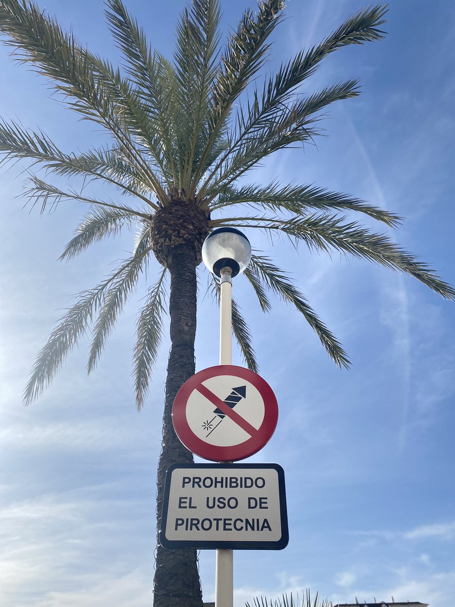 Ojalá este año lo consigamos. 
Es horrible ver sufrir a tus seres querid@s (familiares enferm@s y mascotas) por una tradición obsoleta y absurda.

#0pirotecnia 💚