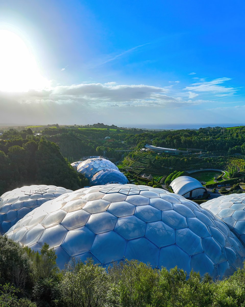 RT if you'd like to visit the Eden Project to learn about the importance of plants 🌱🧐