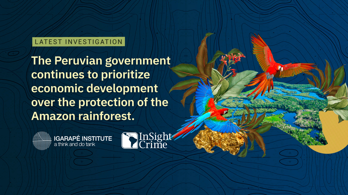 InSightCrime's tweet photo. #InSightFiles2022 | Peru has laws in place that prohibit the use of protected forests for agricultural development. But they have next to no effect.
Read #StolenAmazon here: https://t.co/IT3ZKUu9Pu https://t.co/uNvIVil5Qo