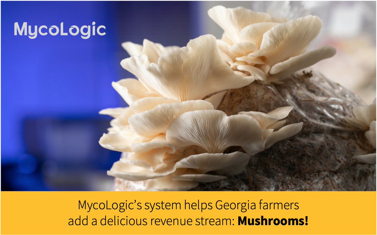 ga_res_alliance's tweet photo. PLEASE SHARE: @KennesawState startup MycoLogic needs your vote to capture $ prize in the #AgInnovationChallenge. An impressive co. poised to help Ga farmers! https://t.co/Nregpz4nKo #AFBF23 #Georgia #agriculture https://t.co/V3n9AAx6Zi