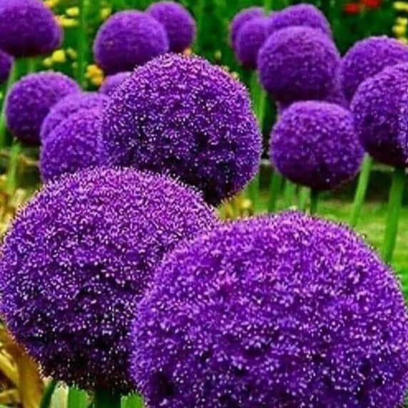 #صورة_ملف_شخصي_جديدة