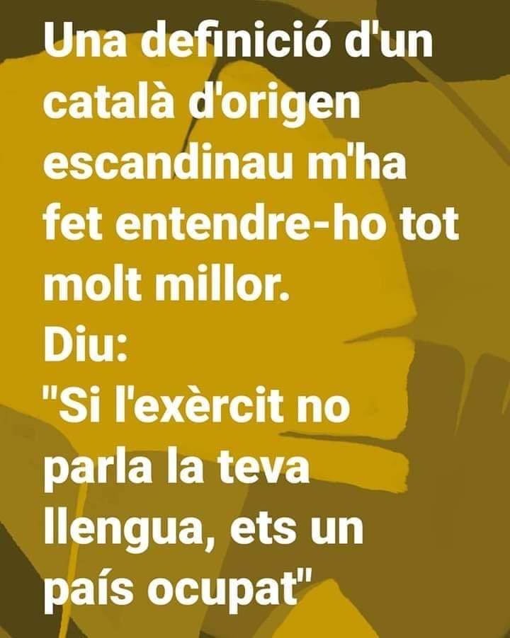 joseprull's tweet image. 