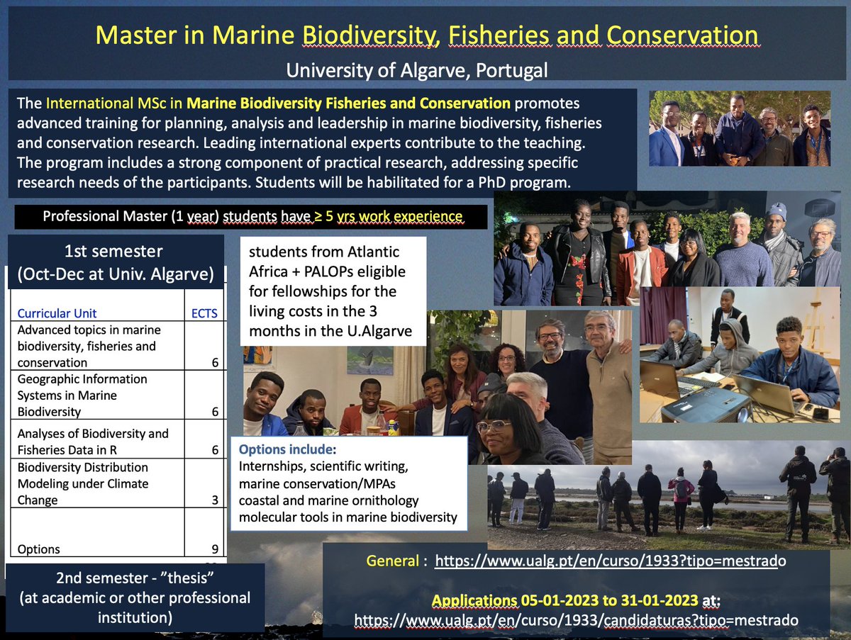 Ester Serrao tweet media