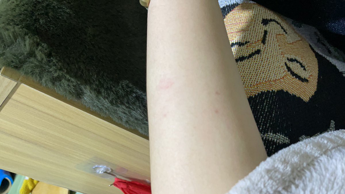 PartyAdams21's tweet photo. 吸血鬼猫猫 https://t.co/8BmjbW0Ua9