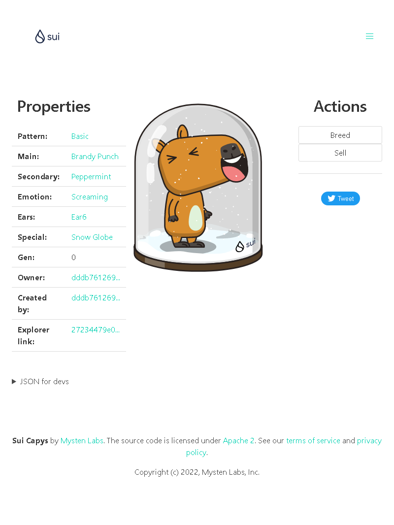 safeerkhan53's tweet photo. Cap-Fine: Introducing Capy, the newest member of our ski project team! We're excited to have him on board and can't wait to see what he brings to the table.  #CapyHolidays https://t.co/XEB111Zj6Z