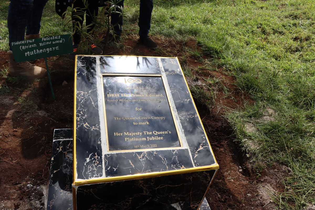 presidentsaward's tweet photo. The President’s Award-Kenya (PA-K) together with Dedan Kimathi University of Technology (DEKUT) unveiled Her Majesty the Queen’s Green Canopy at the Aberdare forest that was created to mark the Queen’s Platinum Jubilee. https://t.co/Gp1nyCIoWu