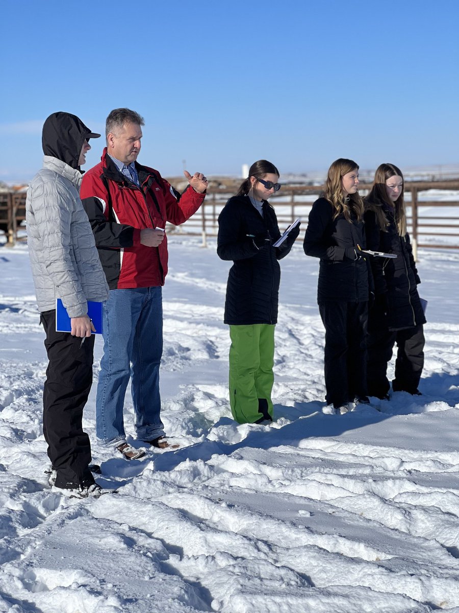 CC_FFAChapter's tweet photo. Our livestock team of Hayley Puckett, Matthew Blackburn, Lauren Rouch and Carly Linnemeier have been out in Denver, CO all week preparing for their National Contest at the National Western Stock Show. We got word late last night that they will be coming home NATIONAL CHAMPIONS!! https://t.co/2MGegvrNnY