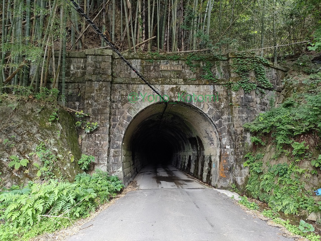 URA_yono's tweet photo. 電化や複線化のため新しいトンネルを開通させた際に使わなくなった旧トンネルが��路トンネルに転用。元々非電化単線用だったためすれ違いが困難なほど狭い。おまけに作りが古いため不気味。写真は北陸本線敦賀～今庄間の旧トンネル群 　https://t.co/jKCpYlCcwp