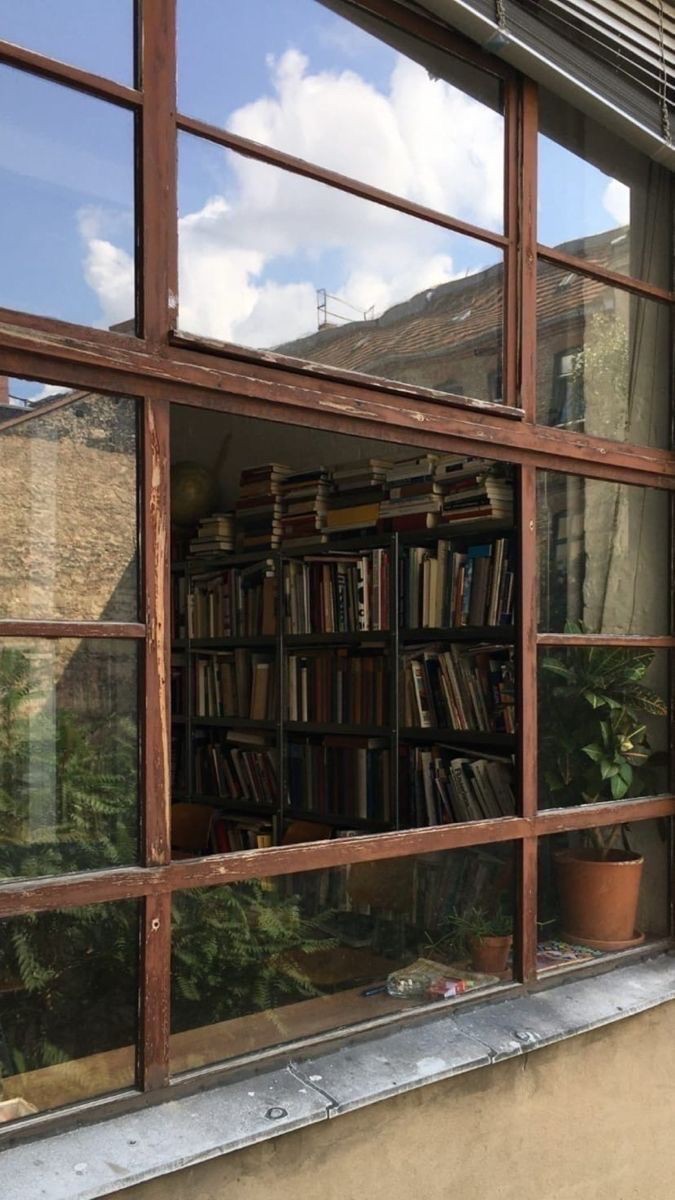 tinywallfl0werr's tweet image. le mie letture del 2023 - a thread 📚✨️