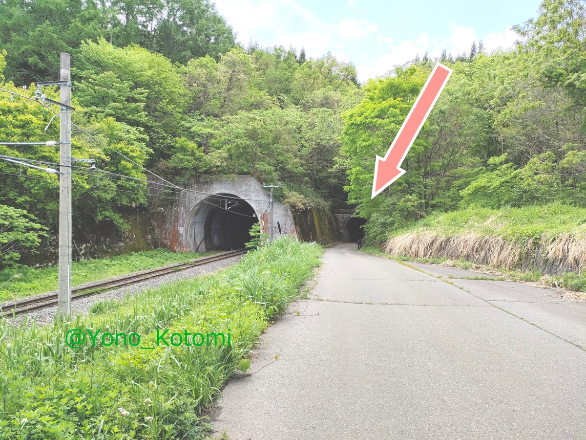 URA_yono's tweet photo. 電化や複線化のため新しいトンネルを開通させた際に使わなくなった旧トンネルが道路トンネルに転用。元々非電化単線用だったためすれ違いが困難なほど狭い。おまけに作りが古いため不気味。写真はしなの鉄道古間駅南側に残る旧戸草トンネル  https://t.co/B13c1y56Dl