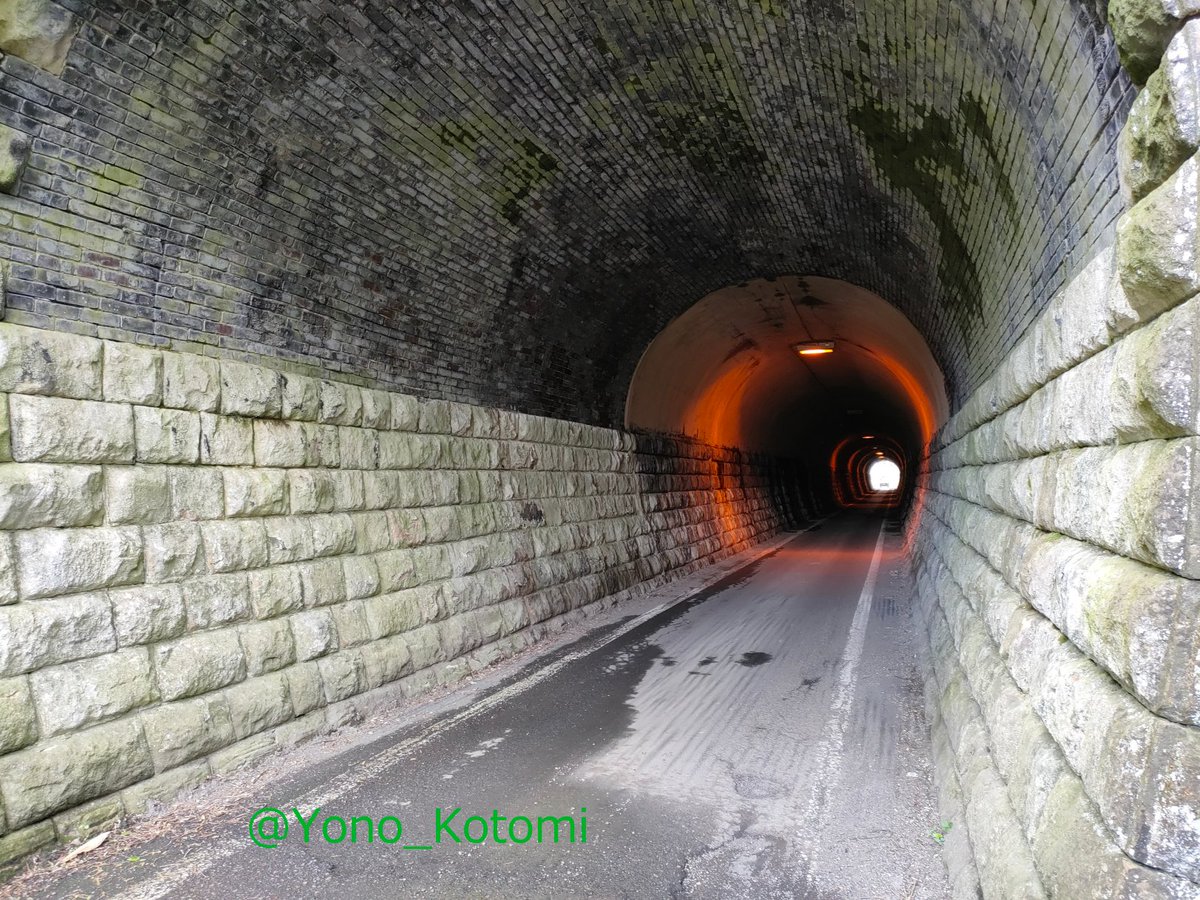 URA_yono's tweet photo. 電化や複線化のため新しいトンネルを開通させた際に使わなくなった旧トンネルが道路トンネルに転用。元々非電化単線用だったためすれ違いが困難なほど狭い。おまけに作りが古いため不気味。写真はしなの鉄道古間駅南側に残る旧戸草トンネル  https://t.co/B13c1y56Dl