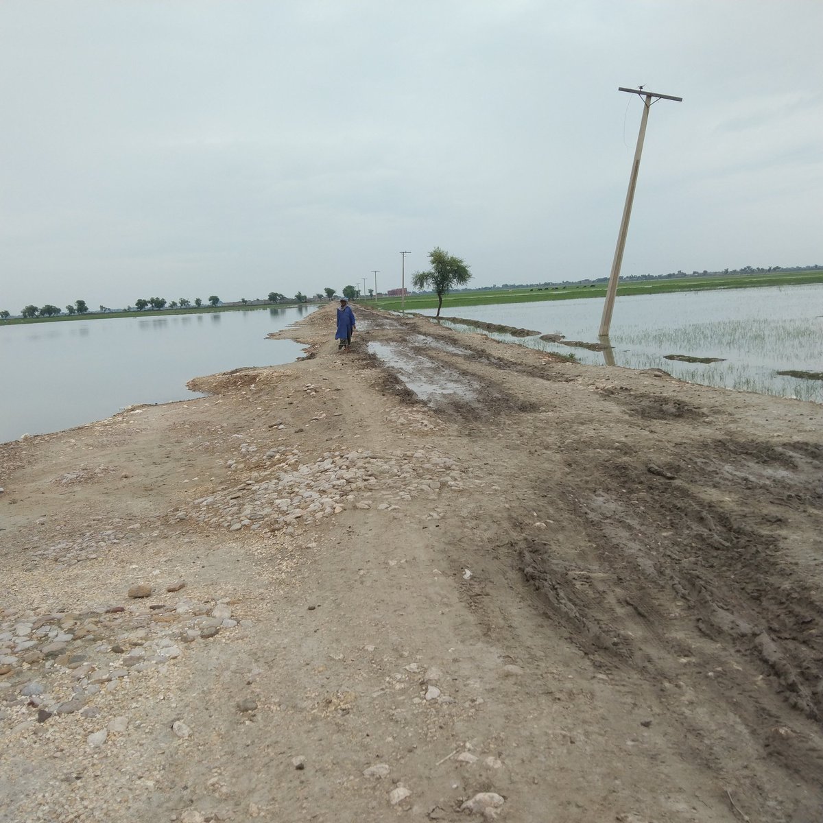 FSolangi125's tweet photo. INSHALLAH....#Chairmain #PPP will be and make #Pakistan instead of #Sindh.because facing already troubles, deficulties in #Sindh. starting of #IND #14august 1947, this road couldn't completed, #Ps15_NA202.
#MIRAN_MACHHI. #MIROKHAN. https://t.co/V22w5SxR1v
