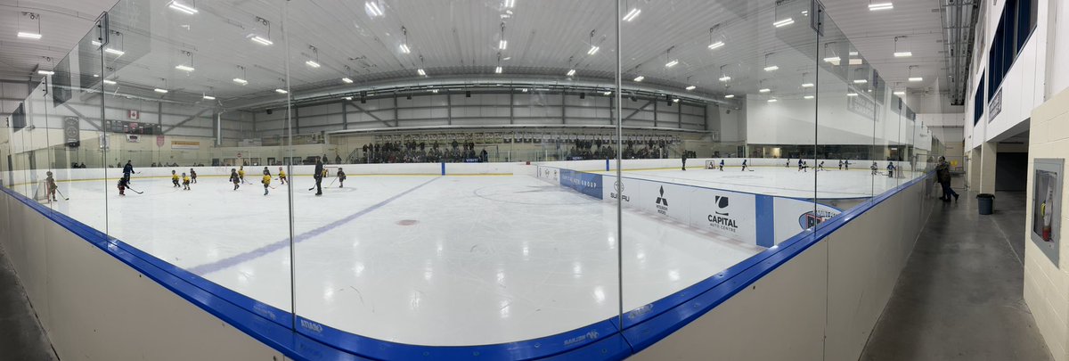 MtPearlBlades's tweet photo. Lots of action this morning at the U7 Blades Jamboree! https://t.co/535LNPXlPp