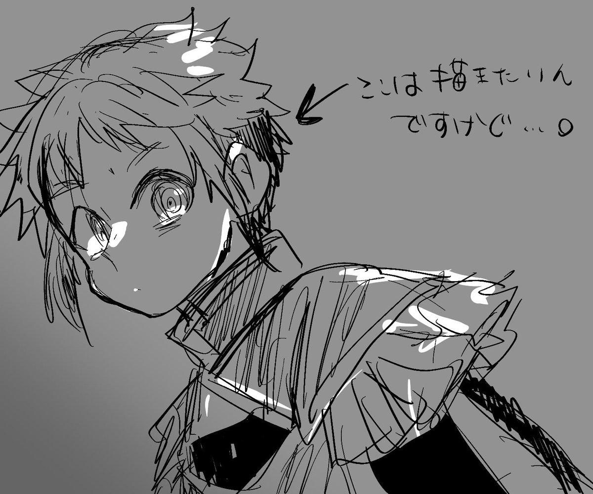 人類が思ってる事の代弁なんですけど
ゴーズくんお洋服のあれこれのジレンマ 