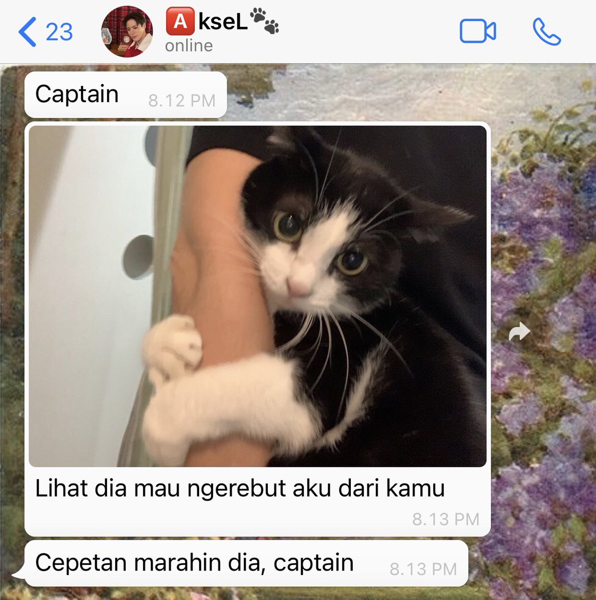 Lapor, Captain!

a Lee Jeno few tweets AU.
