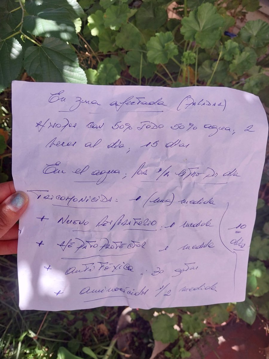 MaffySummers's tweet photo. Luego, Abu comenzó con dificultades para respirar y desmejoramiento general. La viruela afectó mucho su garganta y el vete modificó su tratamiento. Adjunto la receta del 2do tratamiento para Abu y el ticket.
Datos para colaborar:
CVU: 0000003100014265793771 
Alias: Maffy.Vazquez https://t.co/vH2B3S6yx9