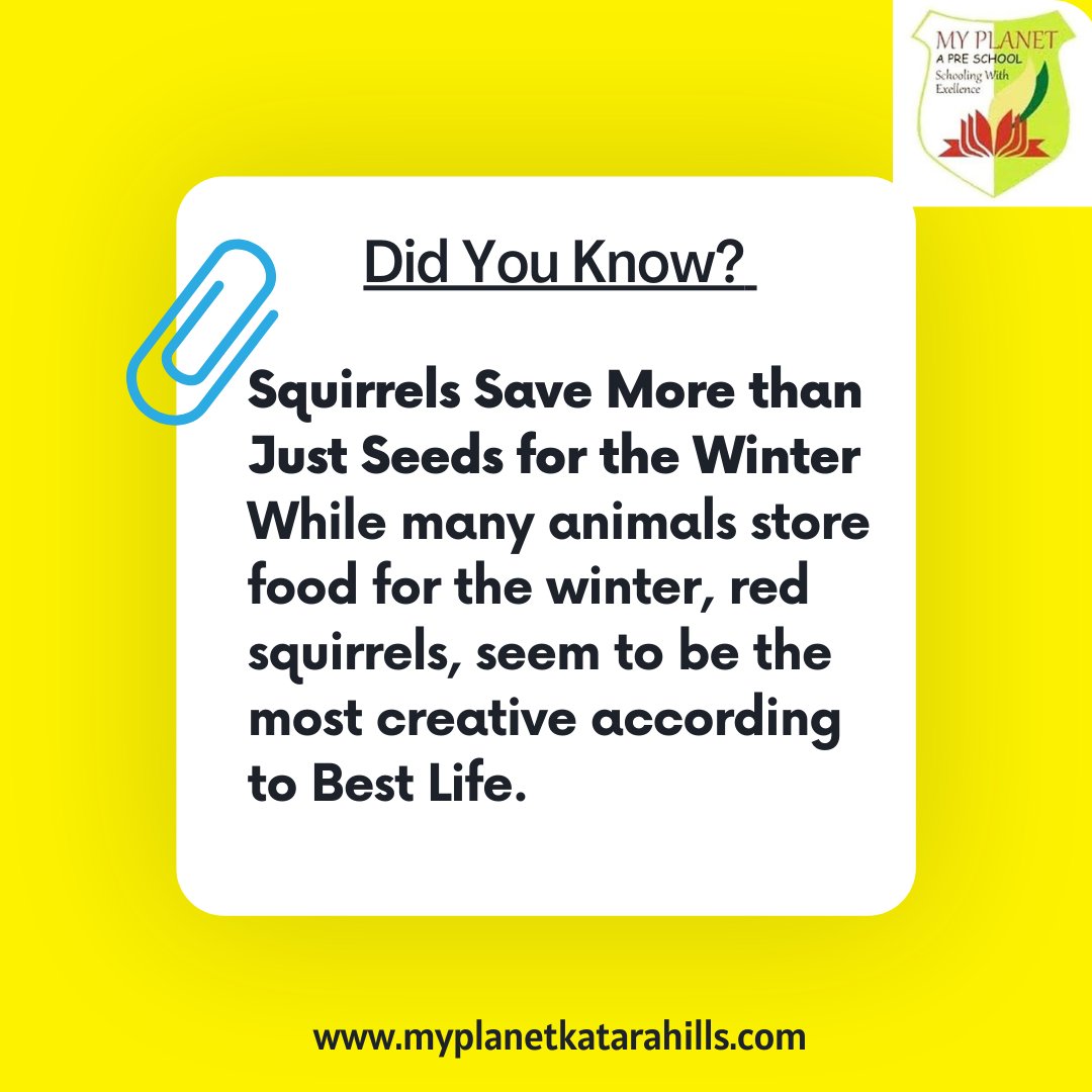 Did you know this fact about squirrels??

#didyouknowchallenge #didyouknowdaily #didyouknowthat #factsdaily #amazingfacts #FactsCheck #bhopalinfo #squirrel #squirrellife #squirrelwhisperer 
#factopedia #factmatter #katara