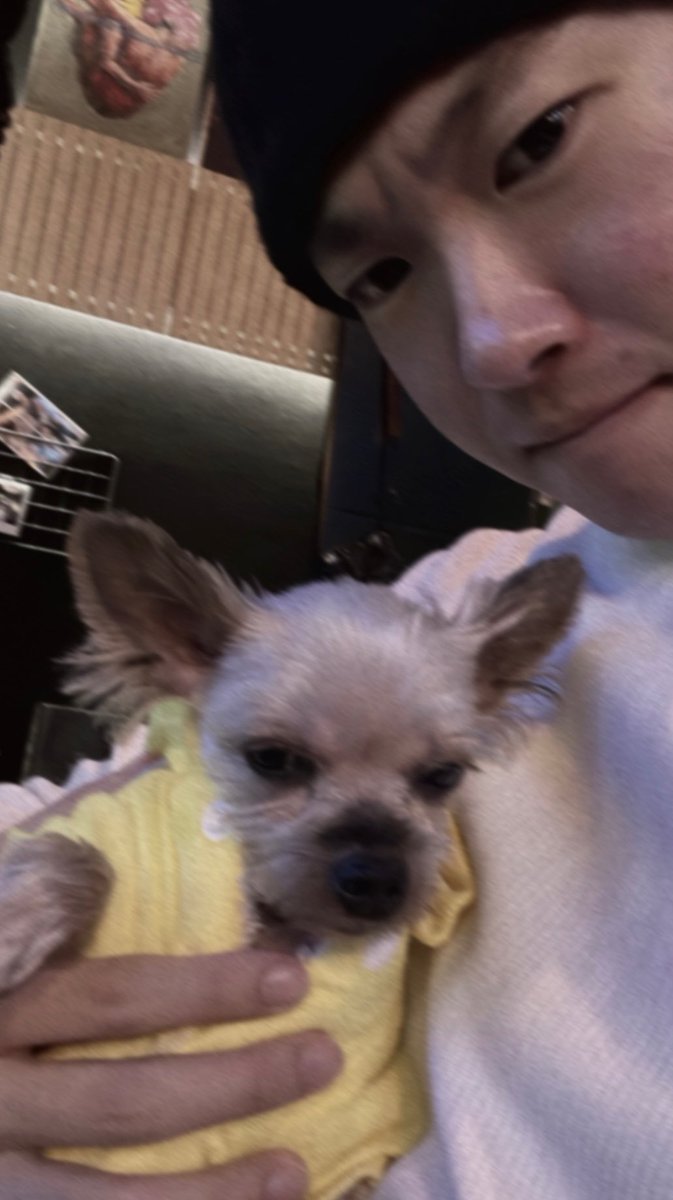 rovvsong's tweet photo. I kidnapped a puppy
but my hostage looks sleepy https://t.co/p5E76Jav60