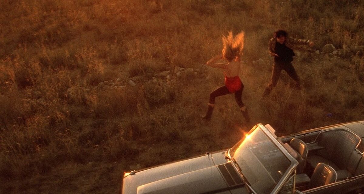 Jopolkadot's tweet photo. Wild at Heart
Lynch
1990 https://t.co/ahZL94WlCL