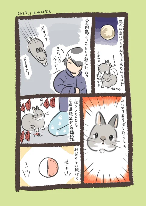 満月の時ソワソワする子多いのかな

#うさぎのいる生活 