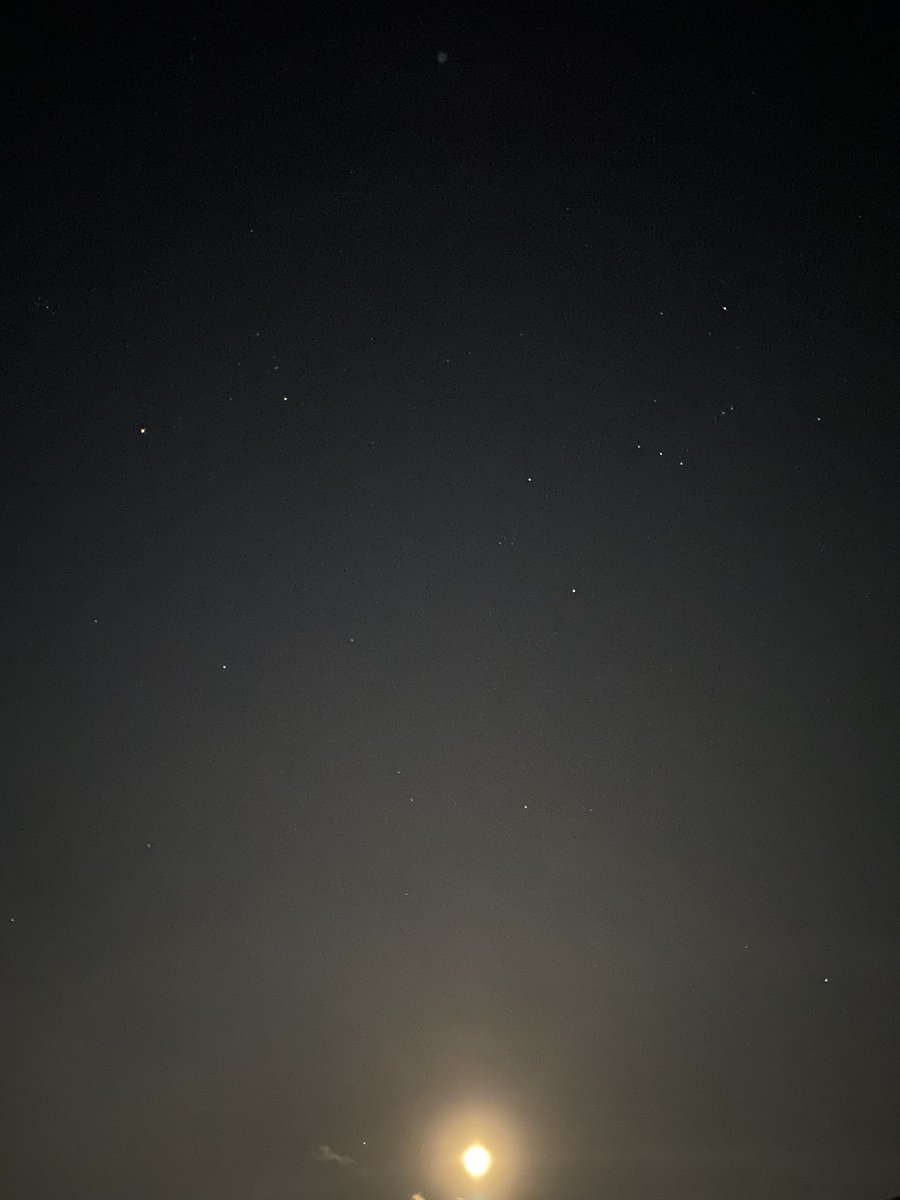 voirenoir's tweet photo. ⋆⁺₊⋆ a sprinkle of stardust https://t.co/FV002wQb9l