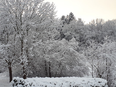 AttValjaLycka's tweet photo. Snö https://t.co/7ZpZZNBKLz https://t.co/tur4IMAWoG