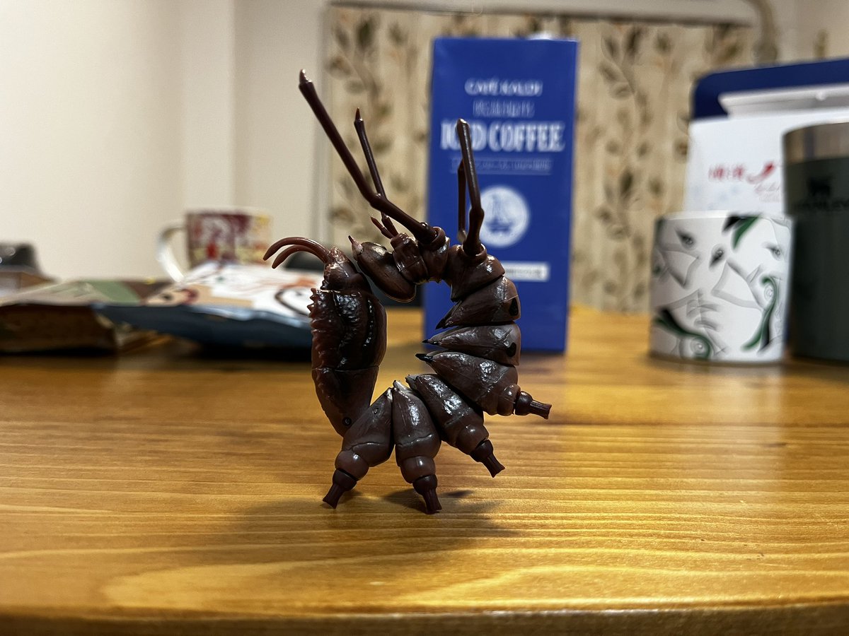 0502Spider's tweet photo. いもむしガチャで個人的大当たりを引きました

シャチホコガ https://t.co/3AZy1hGEVv