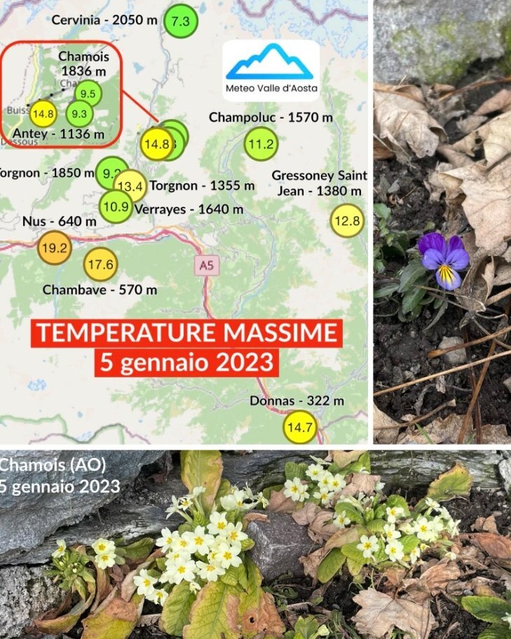 ReteMeteoAmator's tweet photo. 🔥🌷 Clima #primaverile nei fondi valle della Valle d'Aosta: quasi 20°C e prematura fioritura di viole e primule😱
📷foto by Meteo Valle d'Aosta
Rete Meteo Amatori Passione & Professionalità
#meteo #weather #instameteo #instaweather #instalike #followme #retemeteoama… https://t.co/XQvOCSV733