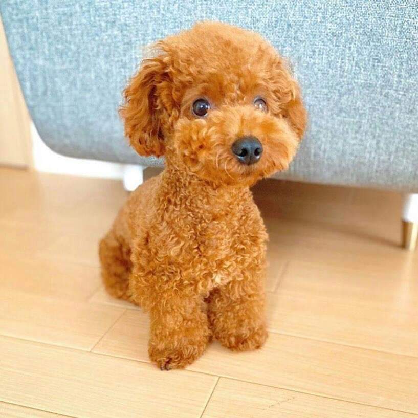 Ийм л хайртай болмоор бна. Тгээл болоо