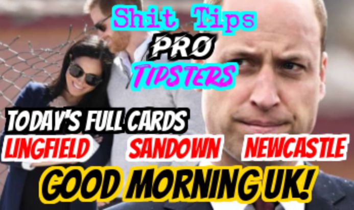 SlyTipster's tweet photo. Follow my Facebook page  https://t.co/leQxiPL62Z for free! 
#lingfield #newcastle #sandown #tipster #Tips #HorseRacing https://t.co/RfFeAqvsGR