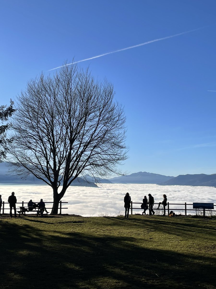 _massimomauri's tweet image. Il Lago di Como, oggi. #LagodiComo #LakeComo #EsinoLario #Ortanella #SanPietrodiOrtanella