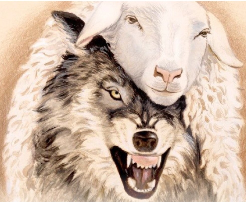 pasanchezmatas's tweet image. ¿Quiénes son peores, los que utilizan el #Resentimiento y el #Odio o los que manosean los buenos #Sentimientos? A mí personalmente, me parecen peores estos últimos, pues me repugna más un lobo disfrazado de cordero que un lobo que se presenta tal cual es.
#IgnacioGómezDeLiaño