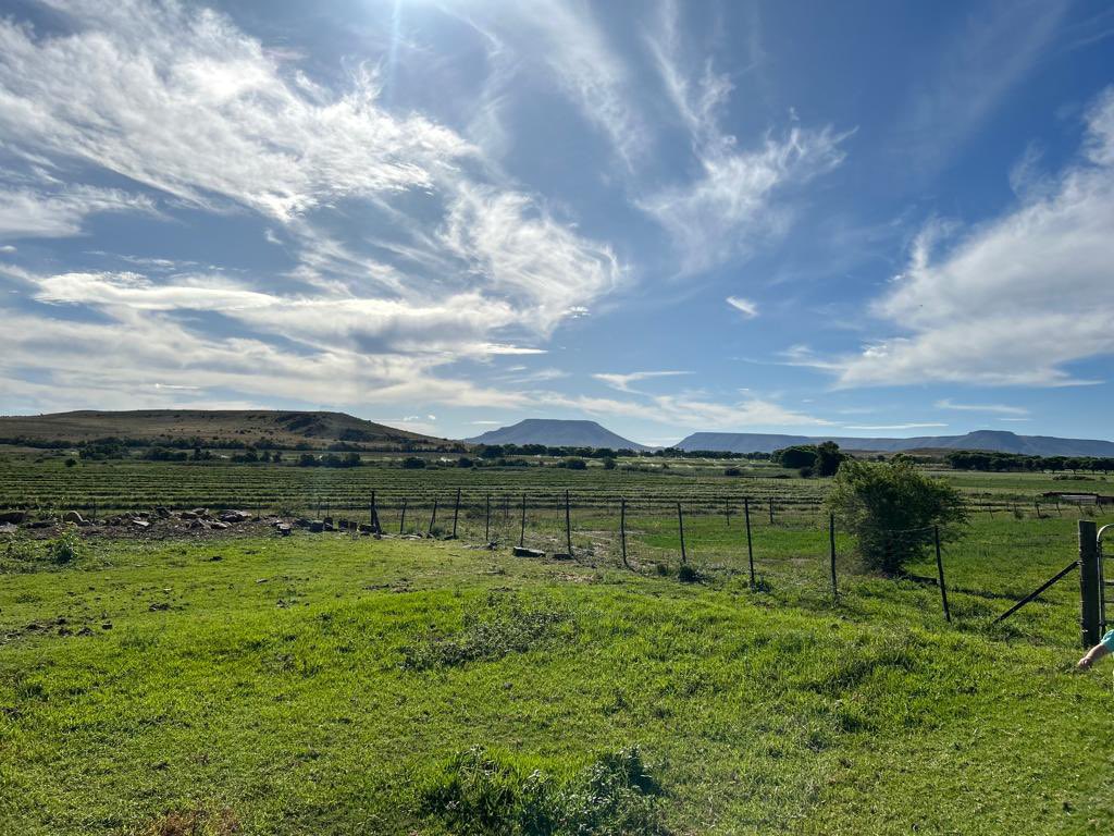 AJOpperman's tweet photo. Dis soos ‘n toneel uit Jan Schutte se reeks Sondaarspoort. En dan hoor ‘n mens sommer daardie mooi temamusiek wat Johan van Rensburg gekomponeer het. 

#plaas #karoo #karoolife #karooplaas #cradock #visrivier #ooskaap #farm #karoofarm #fishriver #easterncape https://t.co/Q0YuyLd3y8