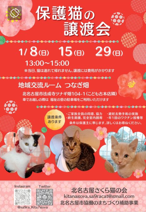 猫ちゃん』の評価や評判、感想など、みんなの反応を1時間ごとにまとめ ...