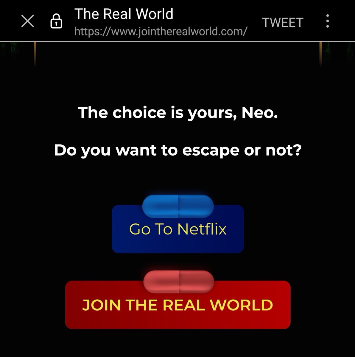 LItaliano84's tweet photo. @UnitedDan3 @yrgnoahh @KSI mate u remeber u told me that thry dont think they live in a simulated world ?  this their web page where they Brainwassing young incels's and Virgin boys! they are litterary thinking we live in a fantasy world 😂😂😂😂🤦🏾 https://t.co/SZ5rIx7Qc3