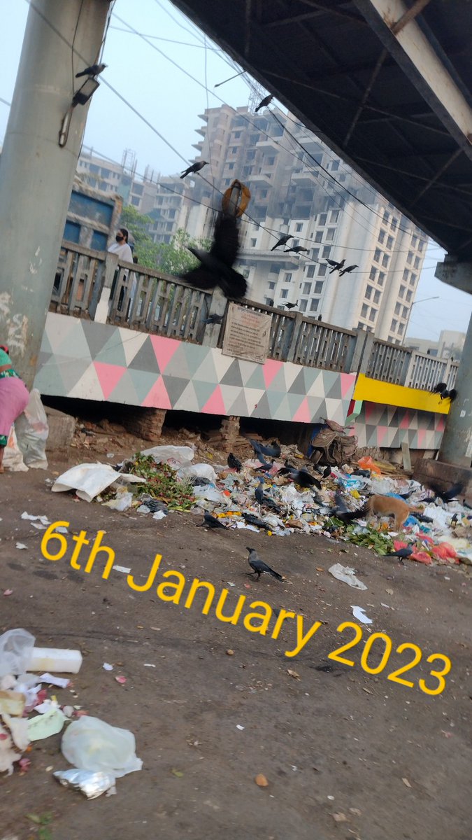 SentinelWachter's tweet photo. See the dates from when the complaints have been raised regards this Garbage which is dumped daily below the #chembur flyover opp #Inmod shoes store @mybmc @mybmcSWM @kedarmehendale @MissAamba @BankiMistry @rajennair @ImmanuelRajanN1 No action yet by @mybmcWardME till 07/01/2023 https://t.co/ht9LKAEM7e
