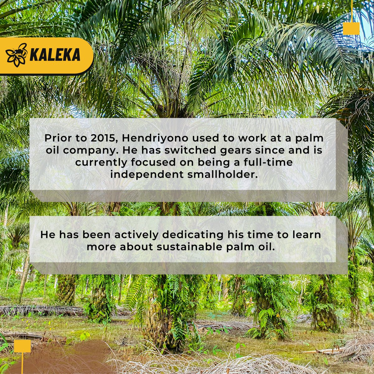 kalekaindonesia's tweet photo. Read more about Hendriyono’s story at https://t.co/RBCtqX35rp 👈

🧵3/3

#Kaleka #TransitiontoExcellence #RealizingSustainability
#SustainablePalmOil #RSPO #PalmOil https://t.co/YRz1yZ0Dhr
