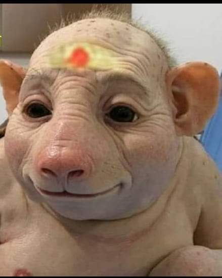 tamis440's tweet photo. @Rohit57911 @AmarNat87959563 @mosogupt @AkhileshSri54 @yoga_pandey @aligarh_wale_ @MujtabaAasif @indian_viking @KiranSi27813888 @KatewaVikram2 @Kuttaprani @TeraVishal @sushila47059915 @Sadashiv8250490 @asadowaisi @AmitLeliSlayer @Dr_MunnaBhaiMD @Dr_RizwanAhmed @warispathan @syedasimwaqar @Drrehmani @Dhanesh52299862 @Subhoji29383892 @ansarraza16 @ARehman786786 @salman7khurshid @SalmanNizami_ @SushantBSinha @AAjju_33 @bhil_mahavir @AmitShahOffice @pushkardhami @Rup59827427 @vishalvhai मजेदार भारत सरकार के आंकड़े तो यही बता रहे हो, तादाद बहुत बढ़ गया है 😅🤣🤣🤣 https://t.co/c5O5pkmzFU