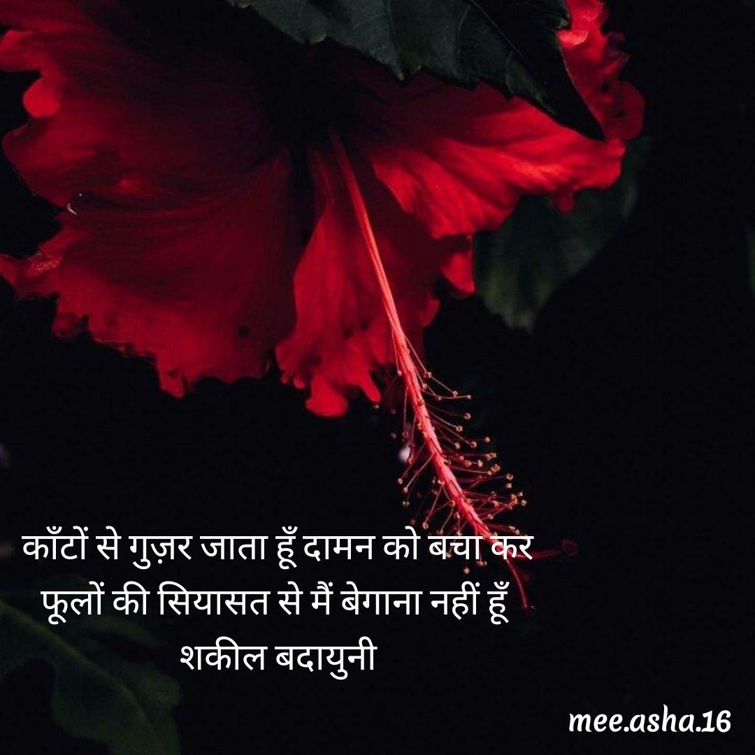 Sumaiya95449708's tweet photo. Phoolo ki baat ho aur shayri na ho....

#flowers #shayri #2linepoetry https://t.co/Q1MVu7OpFT