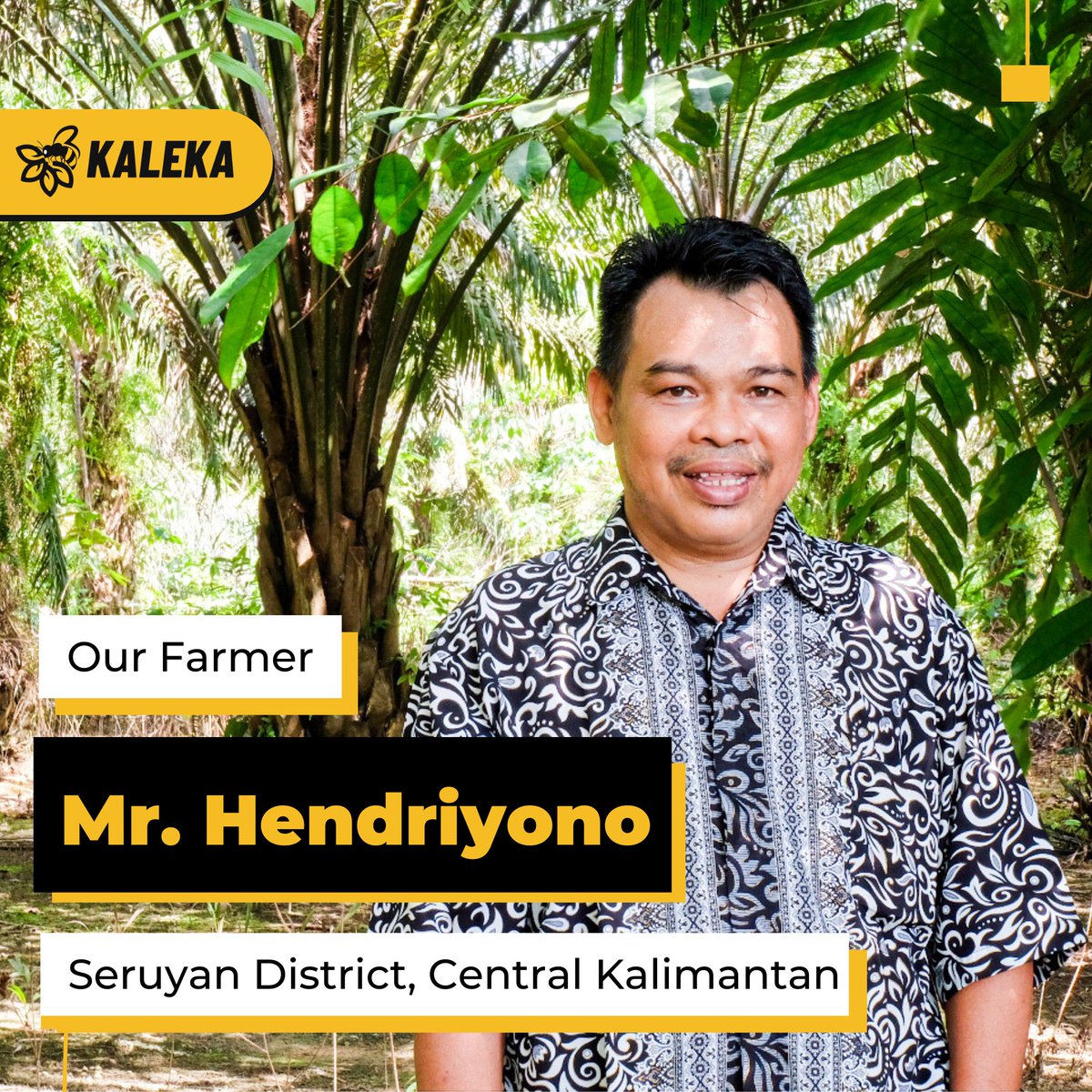 kalekaindonesia's tweet photo. 🌴Meet Our Farmer - Mr. Hendriyono, Central Kalimantan🌴 

🧵1/3

#Kaleka #TransitiontoExcellence #RealizingSustainability https://t.co/ymvGGyXg5m
